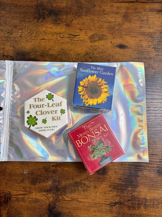3 Grow Your Own Sunflower Four Leaf Clover Bonsai Tree Novelty Gift Boxed Sets Booklets Seeds Planter Secret Santa Birthday Christmas Sealed