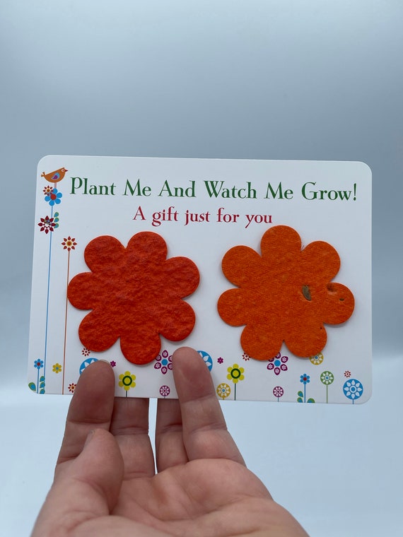 FLOWERS Paper Seeded Flowers Gift Card Plant And Watch Me Grow Any Colour Shape Gift Bag Gardener Family Member Mum Wedding Thank you Fun