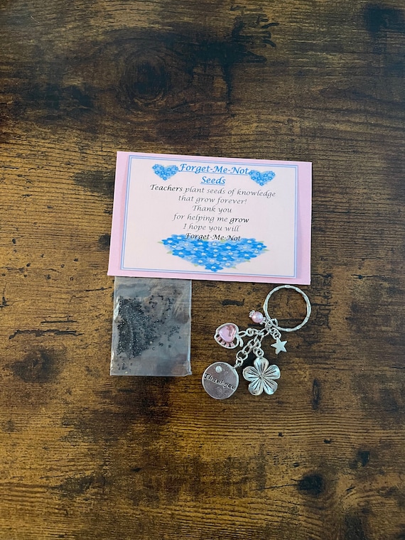 TEACHER Thank You Forget Me Not Flower Grow SEEDS And PINK Key Bag Ring Charm Pendant Rhinestone Apple Star Beads Shimmer Bag And Envelope