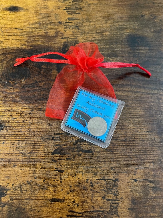 TEACHING ASSISTANT lucky sixpence coin pouch gift say thank you red green blue yellow silver colour card gift bag set keepsake end of term