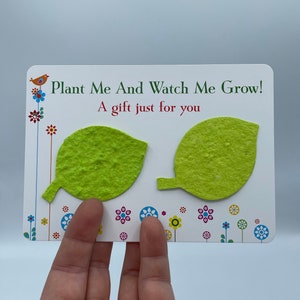 ESTILO DE HOJA Papel Semillas Flores Tarjeta de regalo Planta y mírame crecer Cualquier forma de color Bolsa de regalo Jardinero Miembro de la familia Mamá Boda Gracias Diversión