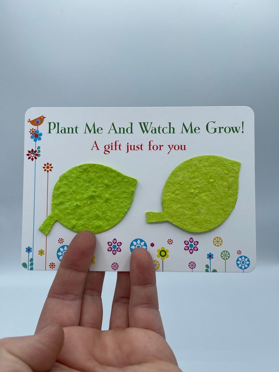 LEAF STYLE Paper Seeded Flowers Gift Card Plant And Watch Me Grow Any Colour Shape Gift Bag Gardener Family Member Mum Wedding Thank you Fun