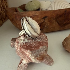 May include: A silver ring featuring a central white cowrie shell set within a beaded metal border. The ring band is constructed from two parallel silver wires, providing a structured look to the piece of jewelry.