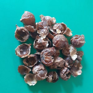 SOAP NUTS for a wonderful hypoallergenic and eco-laundry friendly solution!