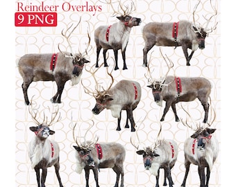 Digital Reinder Overlays {9} + Bonus Christmas Tree Farm Background!