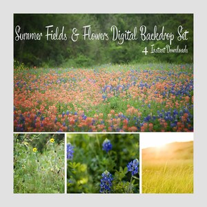 Summer fields and flowers digital backdrops {4 digital downloads}