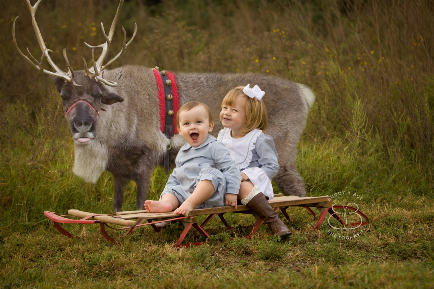 Reindeer Games Overlay Bonus Christmas Tree Farm Background | Etsy
