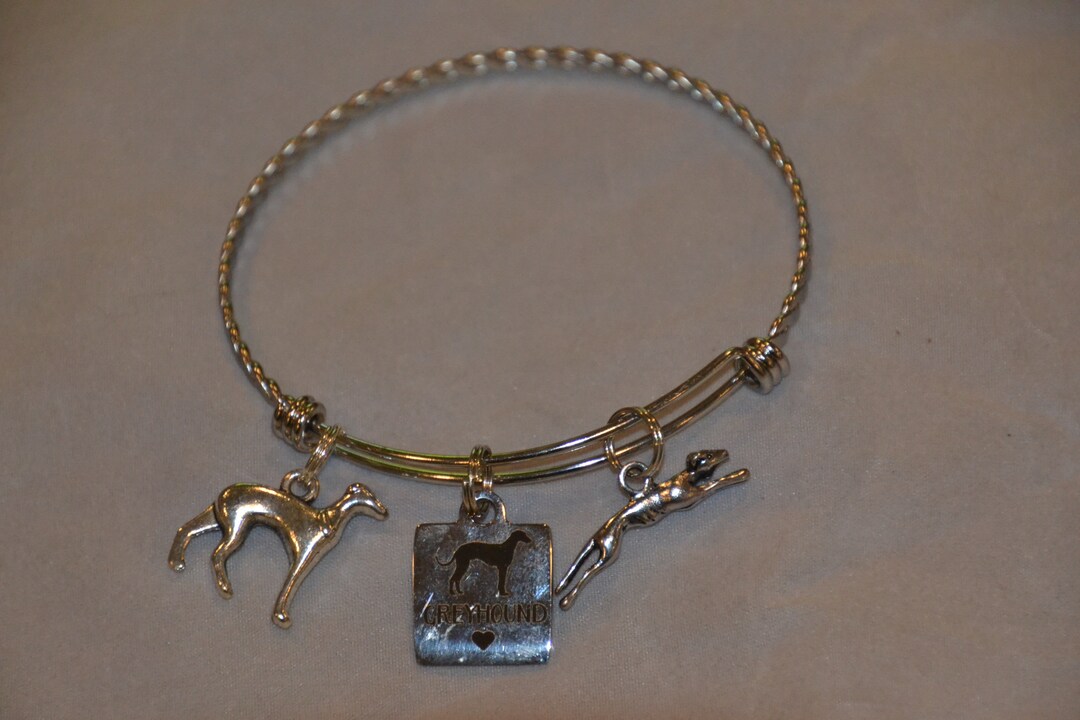 Montre Bracelet à Breloques B'linQ Pour Femme - Cadran Argenté, Bracelet Extensible Charm - Occasion - Plus De 100 Breloques Incluses ?