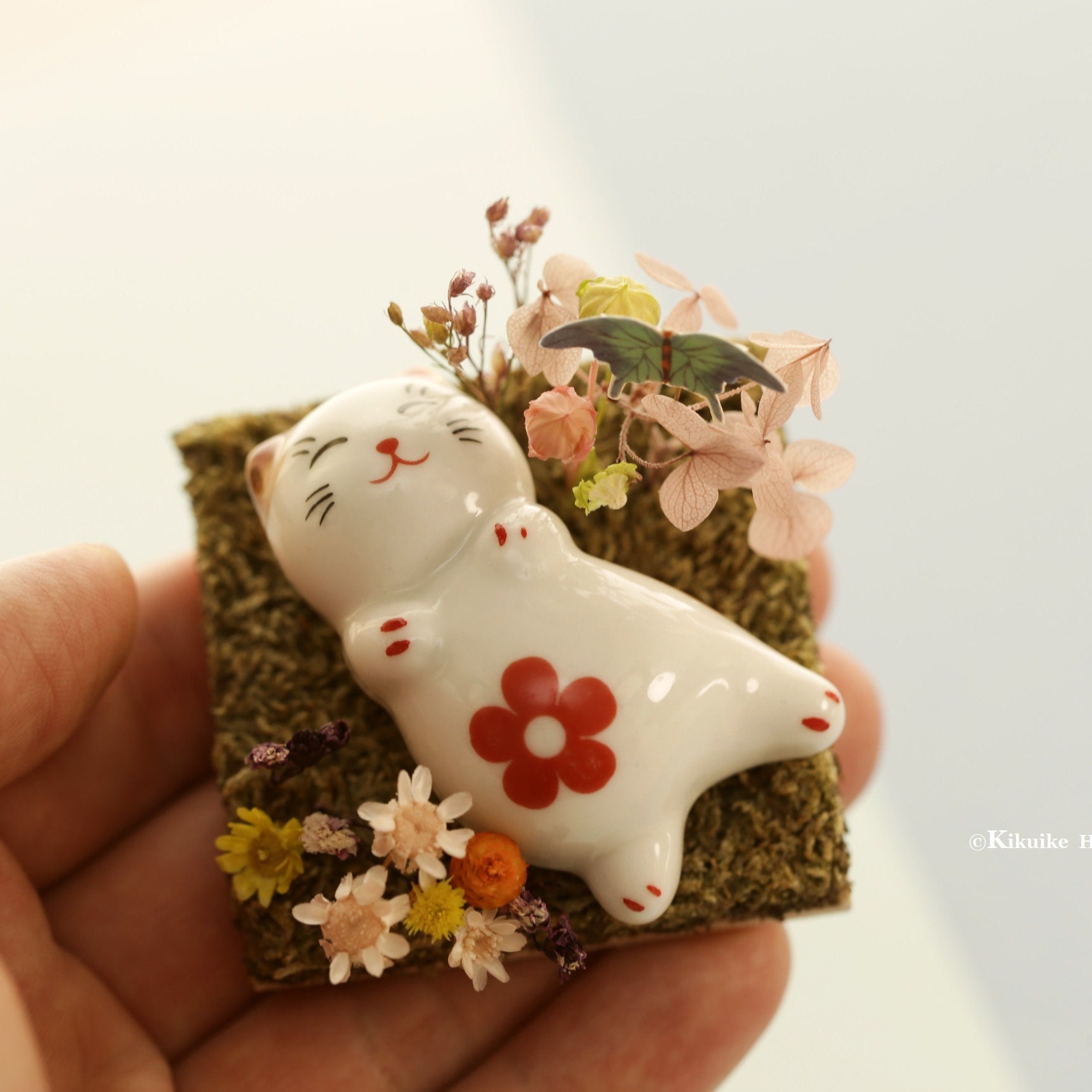 lucky cat hk