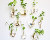 SALE Glass Wall Planters, Indoor Plants Holder Wall Vase Art Wall Decorations, Wall Terrarium