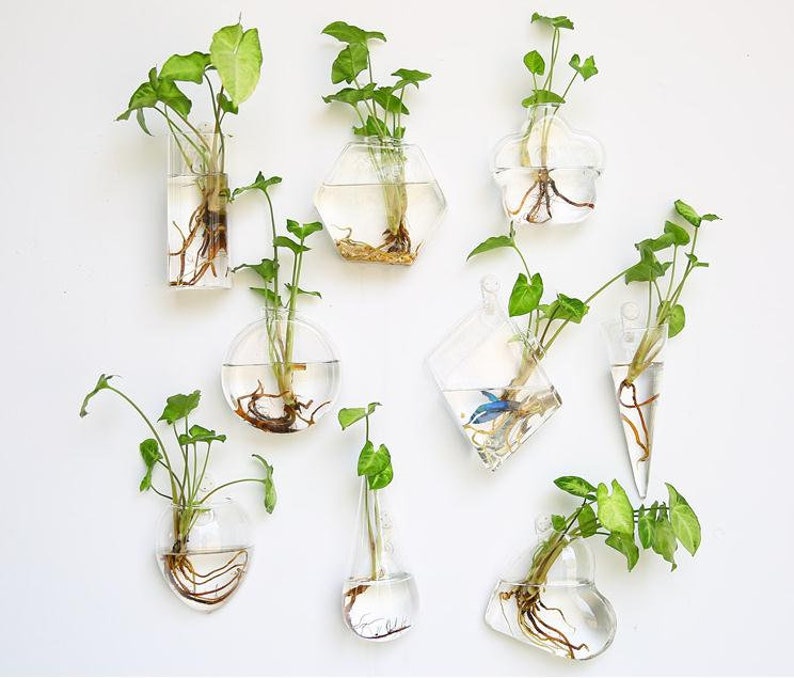 Glass Wall Planters Indoor Plants Holder Vase Art Image 0