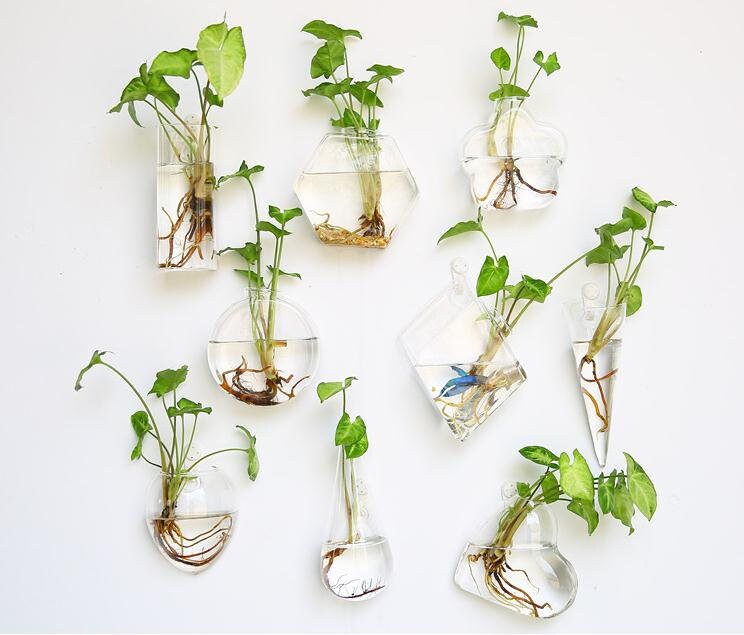 SALE Glass Wall Planters Indoor Plants Holder Wall Vase Art Etsy