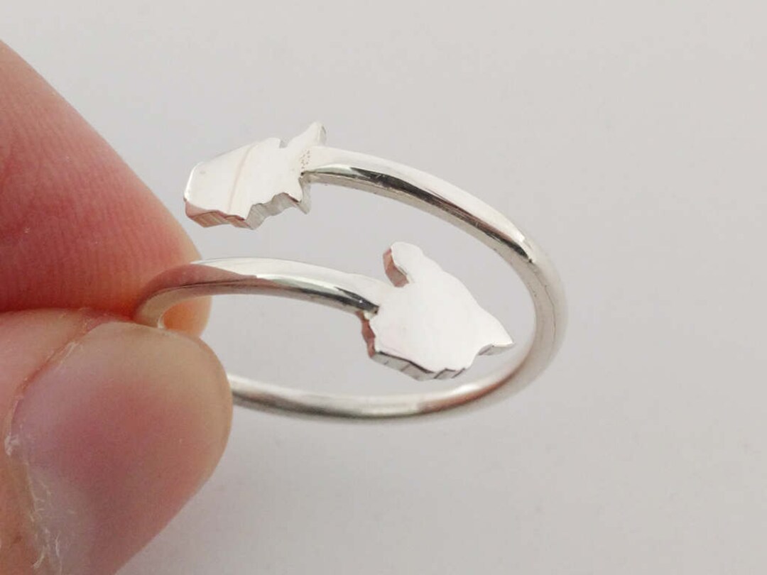Silver Country Ring,best Friend Ring,silver Any States Ring ...