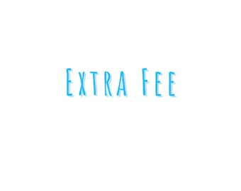 Extra Fee
