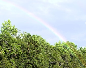 Tęcza nad drzewami