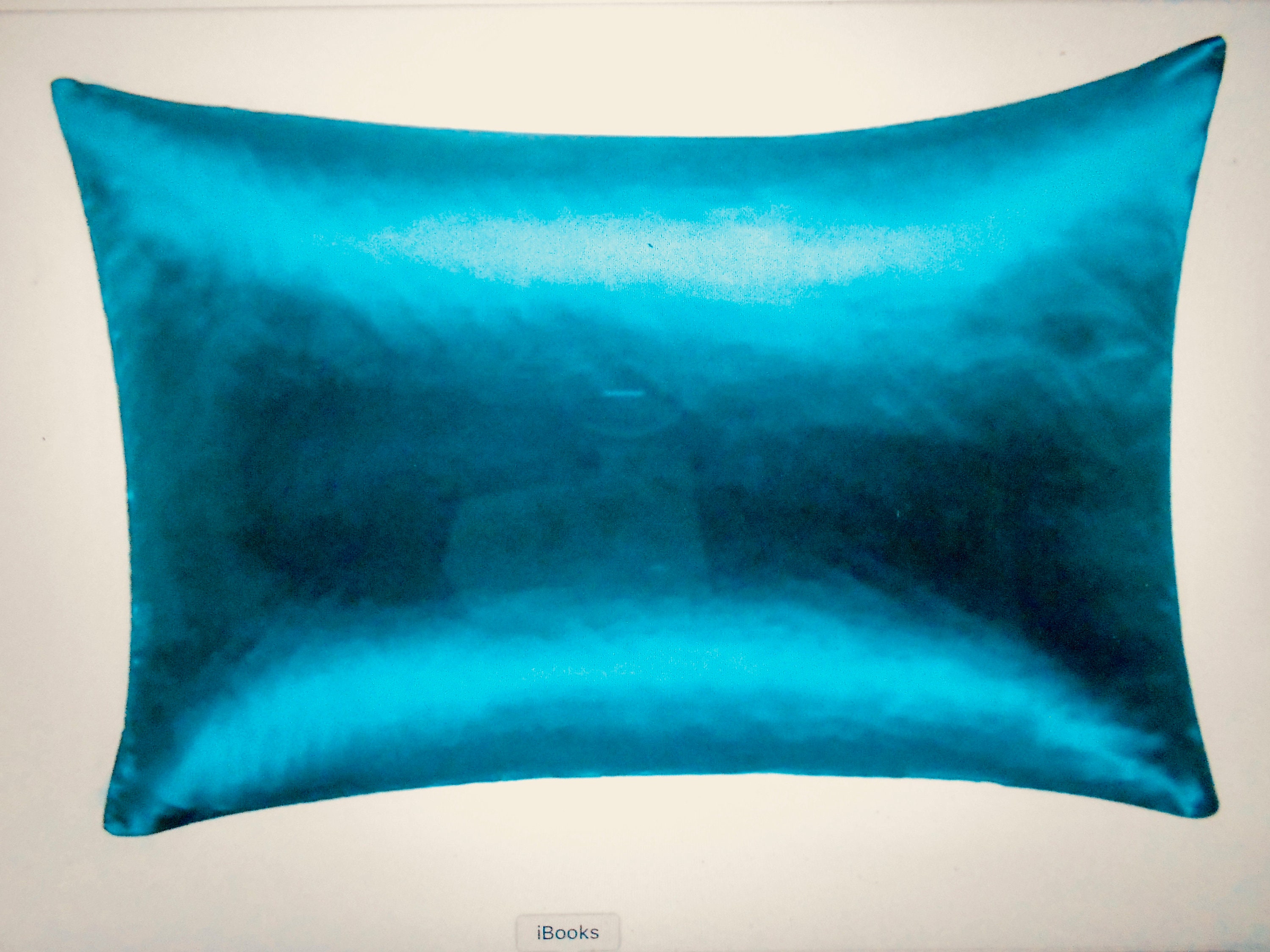 Pure Organic Mulberry Silk Pillowcase. 5 Colours. Cares for Etsy