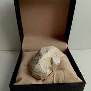 Könnte beinhalten: Ein unregelmäßiges, cremefarbenes, strukturiertes Gesteinsstück, das auf einem weichen, hellbeigen Stoffkissen in einer schwarzen, aufklappbaren Präsentationsbox mit hellem Innenfutter zur Aufbewahrung und Präsentation liegt.