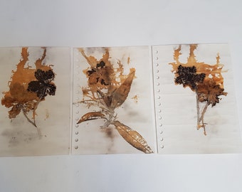 May include: Three botanical art pieces featuring pressed flowers and leaves in shades of brown and tan. Each piece is mounted on a sheet of paper with a spiral binding edge. The artwork has a vintage, natural aesthetic.