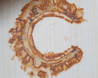 Rust Dyed Horseshoe Fabric Art Print – Eco Textile Art (45 x 34 cm)