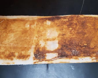 Rust Dyed Fabric Remnant: Striped Eco-Dyed Panel (45x11cm)