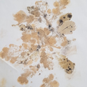 May include: A white fabric textile featuring a botanical print of oak leaves in shades of tan, beige, and dark brown. The leaf patterns are arranged in a cluster, displaying natural veining and organic shapes with soft, blurred edges.