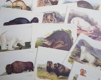 May include: A collection of vintage-style animal prints featuring various species including a polar bear, bison, muskox, deer, and otters. Each rectangular paper print displays a detailed illustration of a wild animal in its natural habitat.