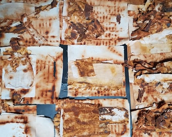 Dense Deposits Fragile Rust Dyed Cloth Pack: Applique Fabric Collage