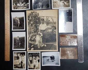 May include: A collection of eleven vintage black and white photographs featuring people and dogs, arranged between two wooden rulers measuring 11 inches and a metal ruler measuring 12 inches, documenting various outdoor scenes and portraits.