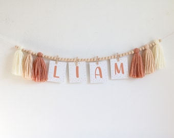 Baby Shower banner, Girl's Pastel Birthday banner, Blush cake smash Garland, Tassel bunting, Neutral Boho 1st birthday decor