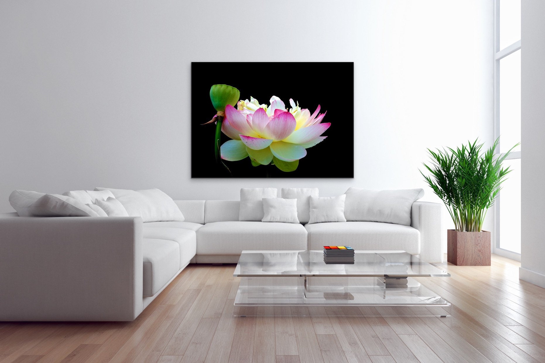Lotus VIII Photograph Wickford Rhode Island Photo Flower Etsy