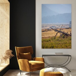 Rocky Mountain National Park, Colorado, Nature, Photography, Canvas, Hiking, Decor, Wall Art, Mountains, Artwork, Art, Wall Art, RMNP, Elk