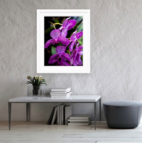 Floral Art, Palm Beach, Florida, Fine Art Canvas, Artwork, Wall Art, Orchid, Art, Floral, Colorful Artwork, Flower Art, Purple Orchid,Flower