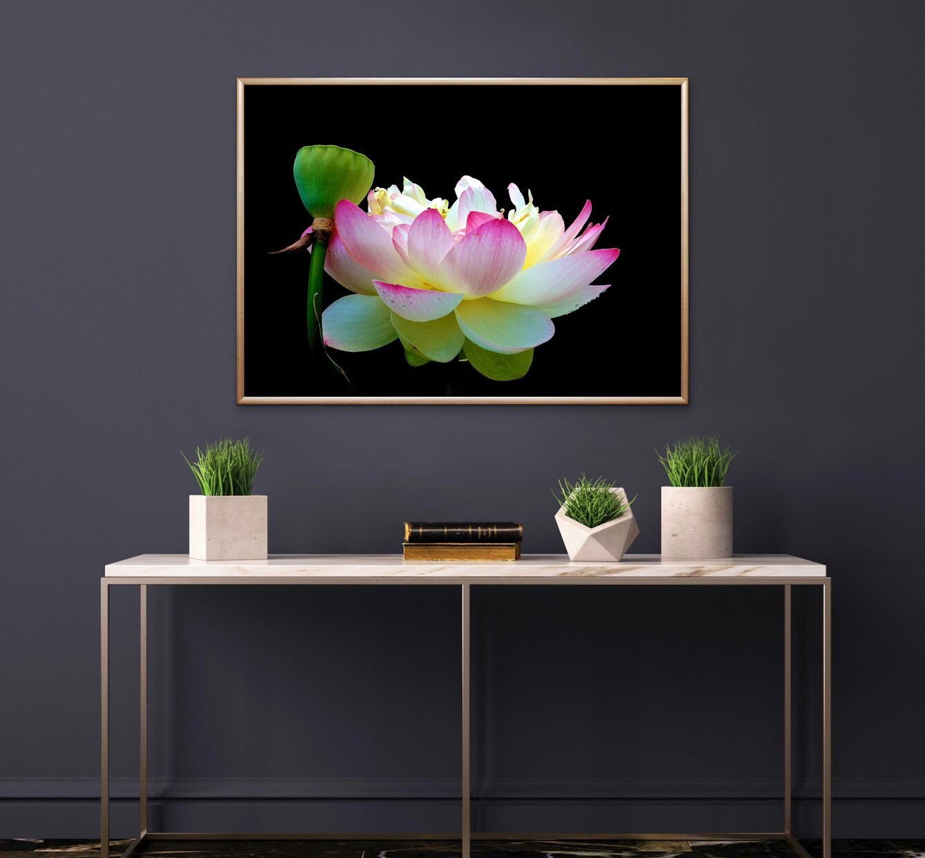 Lotus VIII Photograph Wickford Rhode Island Photo Flower Etsy