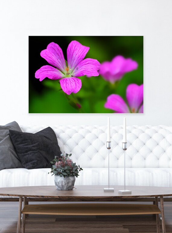 Purple Flower Art, Rhode Island, Flower, Canvas, Fine Art, Photography, Wall Art, Home Decor, Floral, Summer, Gift, Flower Art, Garden, RI