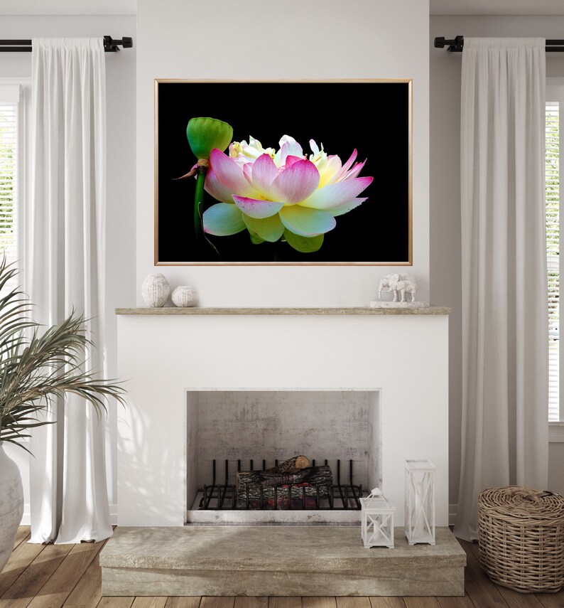 Limited Edition Lotus VIII Rhode Island Fine Art Canvas Etsy