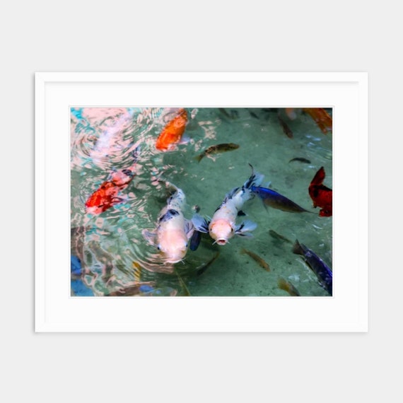 Bahamian Art, Bahamas, Atlantis, Paradise Island, Abstract, Art, Artwork, Photograph, Print, Koi, Caribbean Photography, Koi Photography