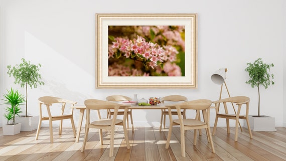 Floral Wall Art, Warwick Neck, Rhode Island, Peach, Print, Photograph, Wall Decor, Interior Home Decor, Floral, Wall Art, Summer, Flower Art