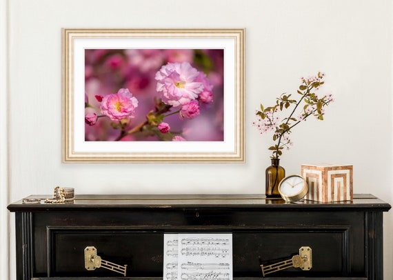 Cherry Blossom Art, Rhode Island, Fine Art, Canvas, Artwork, Cherry Blossoms, Floral, Floral Photography, Flower Art, Wall Decor, Art, RI