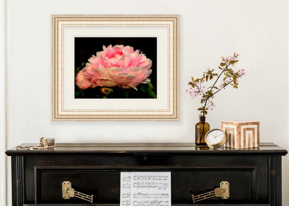 Peony, Warwick Neck, Rhode Island, Flower, Print, Photograph, Wall Decor, Interior Home Decor, Floral, Wall Art, Summer, Floral Photography