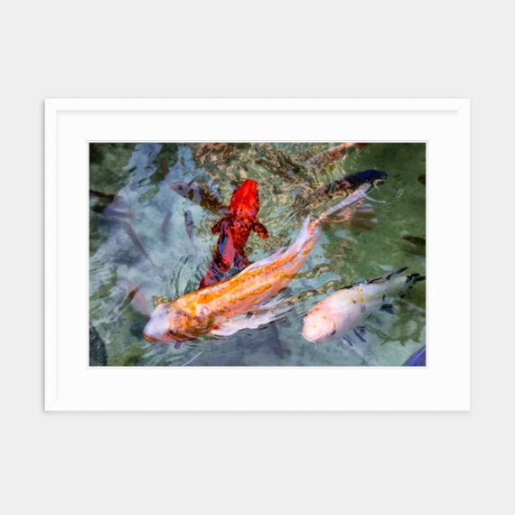 Bahamian Art, The Cove Atlantis, Bahamas, Paradise Island, Fine Art, Canvas, Artwork, Coastal, Photography, Art, Caribbean Art, Bahamas Art