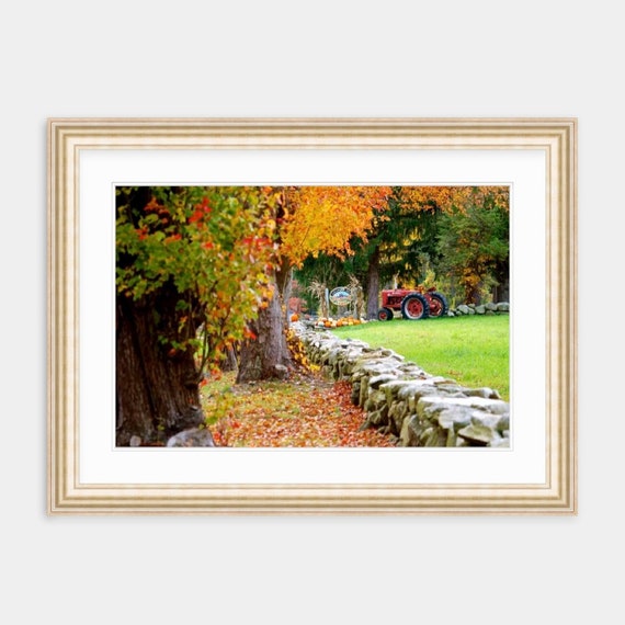 Framed Art, Farm Tractor, Foster, Rhode Island, Rhode Island Art, Fall Home Decor, Country Art, Autumn, New England, Artwork, Fall, Foliage