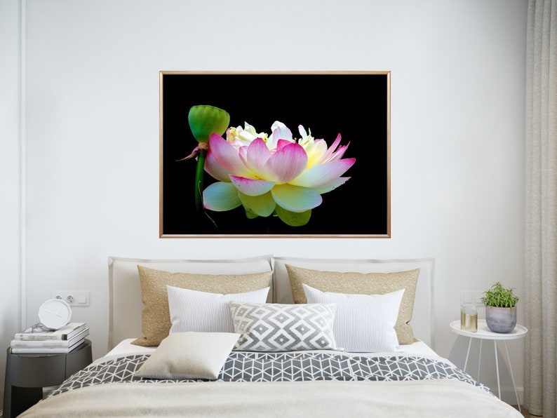 Limited Edition Lotus VIII Rhode Island Fine Art Canvas Etsy