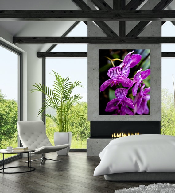 Floral Wall Art, West Palm Beach, Florida, Orchid, Photography, Canvas, Floral, Decor, Wall Art, Floral Photography, Flower, Purple Flower