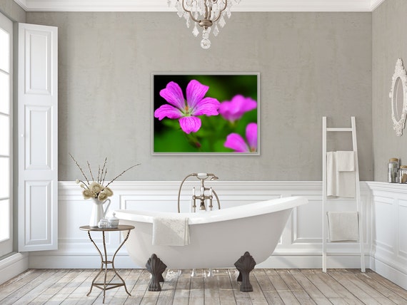 Purple Flower Art, Rhode Island, Summer, Flora, Floral Photography, Artwork, Photos, Summer Decor, Home Decor, Art, Flower Art, Floral Decor