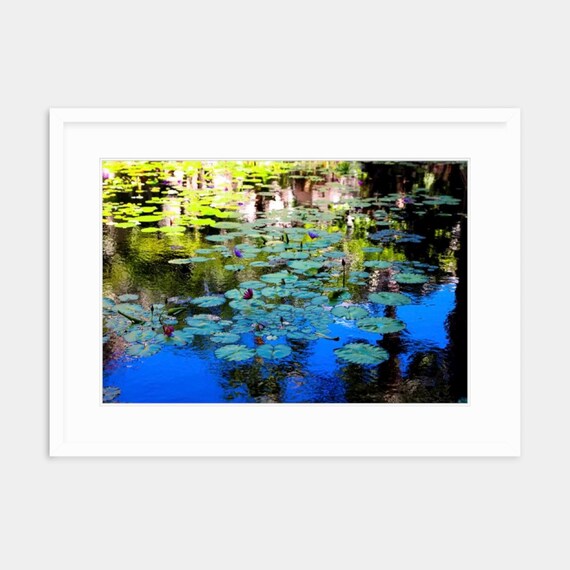 Bahamian Art, Bahamas, The Cove Atlantis, Paradise Island, Abstract, Art, Artwork, Photograph, Print, Koi, Caribbean Art, Atlantis Artwork