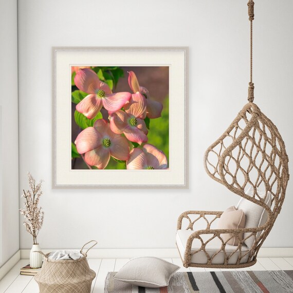 Dogwood, Warwick Neck, Rhode Island, Flower Art, Peach, Print, Photograph, Wall Decor, Interior Home Decor, Floral, Wall Art, Summer, Garden