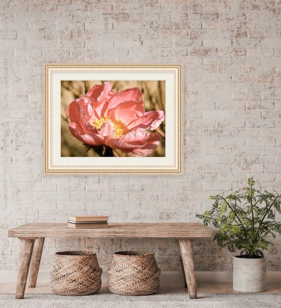 Floral Photography, Rhode Island, Peony, Floral, Nature, Artwork, Photograph, Print, Home Decor, Peach, Photo, Flower, Summer, Flower Art,RI