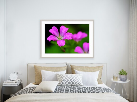 Purple Flower Art, Rhode Island, Floral, Flower, Summer, Fine Art, Canvas, New England, Floral Photography, Interior Design, Home Decor, RI