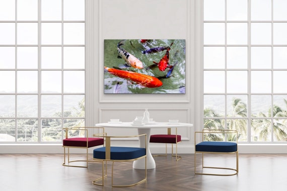 Bahamas Koi Photograph: Abstract Caribbean Fish Art Print