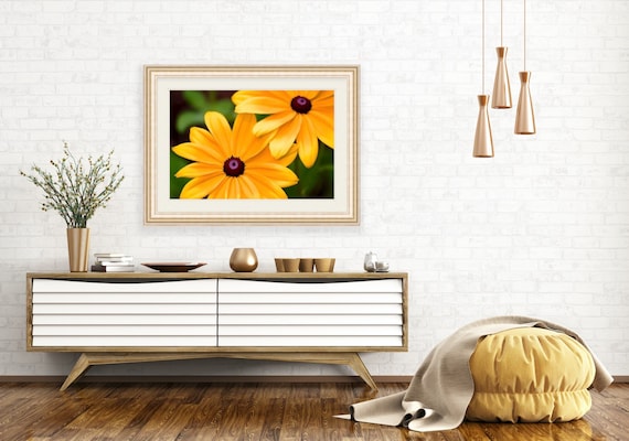 Flower Wall Art, Floral Photography, Black Eyed Susan Print, Rhode Island Artwork, Yellow Flower Art, Home Decor, Yellow Flower Photograph